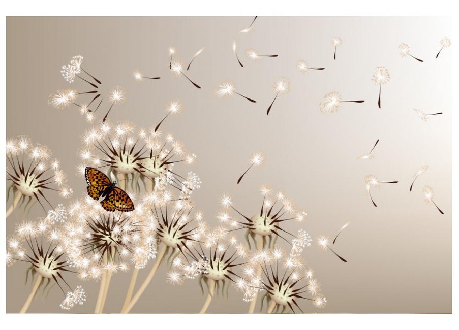 Fototapeet Dandelions and butterfly MS5-0148