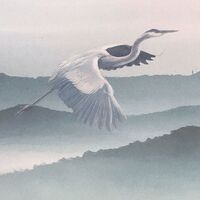 Fototapeet Mystic Cranes INX8-083
