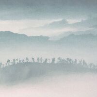 Fototapeet Mystic Cranes INX8-083