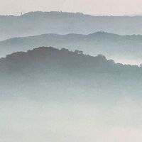 Fototapeet Mystic Cranes INX8-083