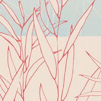 Fototapeet Plain INX4-023