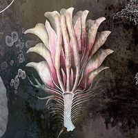 Fototapeet Night Flowers INX4-044