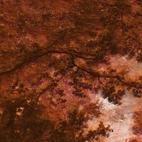 Fototapeet Autumna Rosso INX4-090