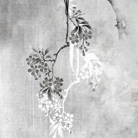 Fototapeet Dynasty INX6-012