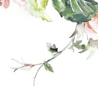 Fototapeet Nasrin INX6-039