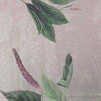 Fototapeet Tropic Concrete INX8-050