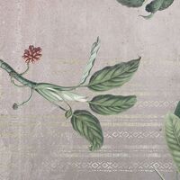 Fototapeet Tropic Concrete INX8-050