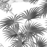 Fototapeet Croissances Monochrome INX8-082