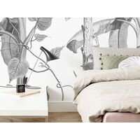 Fototapeet Croissances Monochrome INX8-082