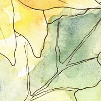 Фотообои Girasol X4-1008