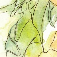 Фотообои Girasol X4-1008