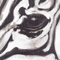 Fototapeet Zebra X4-1010