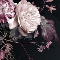 Fototapeet Bouquet Noir X4-1018