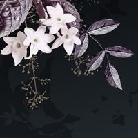 Fototapeet Bouquet Noir X4-1018