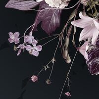 Fototapeet Bouquet Noir X4-1018