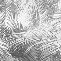 Fototapeet Cocco X4-1019