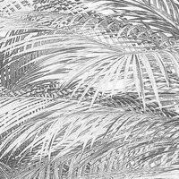 Fototapeet Cocco X4-1019