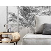 Fototapeet Cocco X4-1019