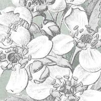 Fototapeet Karma X4-1020