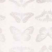 Фотообои Mur de Papillons X4-1076