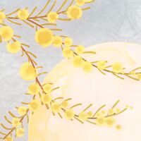 Fototapeet Sol X4-1091