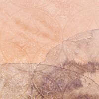 Fototapeet Sol X4-1091