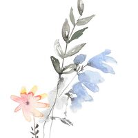 Фотообои Aquitaine X4-1099