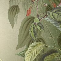 Fototapeet Wildlife Birds X4-1100