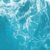 Fototapeet The Shore X5-1089