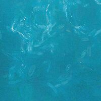 Fototapeet The Shore X5-1089