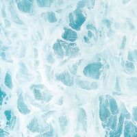 Fototapeet The Shore X5-1089