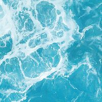 Fototapeet The Shore X5-1089