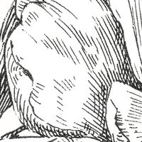 Fototapeet Flowerbed X6-1036