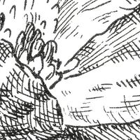 Fototapeet Flowerbed X6-1036