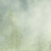 Fototapeet Misty Crowns X7-1003