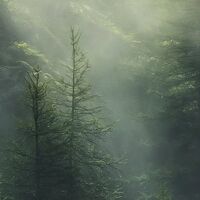 Fototapeet Misty Crowns X7-1003