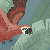 Фотообои Enchanted Jungle X7-1013