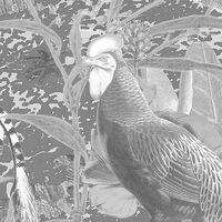 Фотообои Flora and Fauna X7-1016