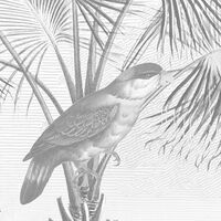 Фотообои Flora and Fauna X7-1016