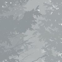 Fototapeet Nebula X7-1021