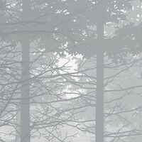 Fototapeet Nebula X7-1021