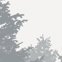 Fototapeet Nebula X7-1021