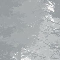 Fototapeet Nebula X7-1021