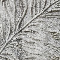 Fototapeet Concrete Feather X7-1023