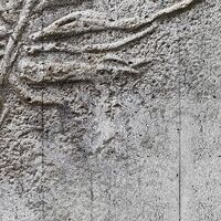 Fototapeet Concrete Feather X7-1023