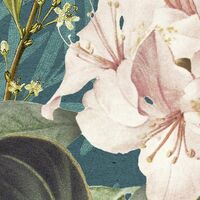 Fototapeet Jacinta X7-1039