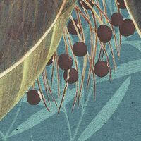 Fototapeet Jacinta X7-1039