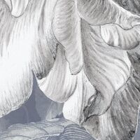 Fototapeet Merian Blue X7-1041