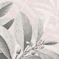 Fototapeet Kalina X7-1043