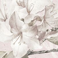 Fototapeet Kalina X7-1043